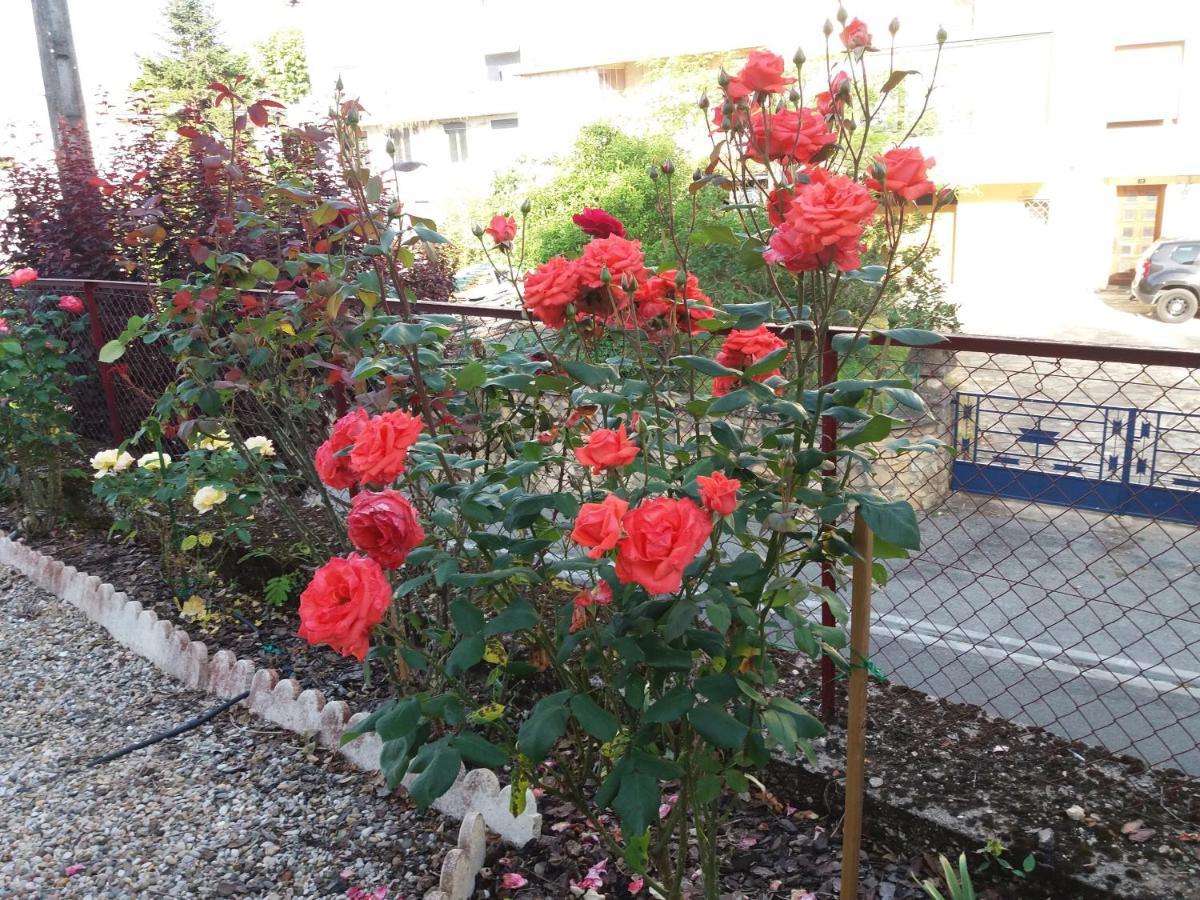 Bed And Breakfast Les Roses Multicolores Du 47 福梅尔 外观 照片