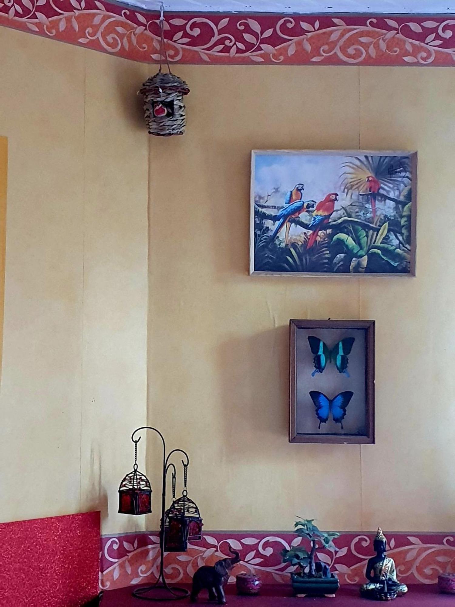 Bed And Breakfast Les Roses Multicolores Du 47 福梅尔 外观 照片